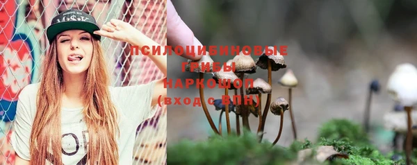 дурь Карпинск
