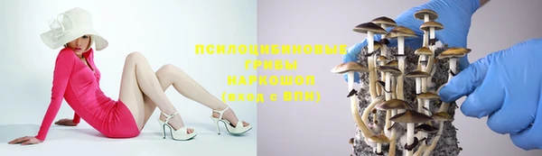 спиды Касимов