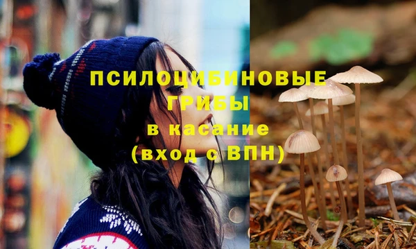 дурь Карпинск