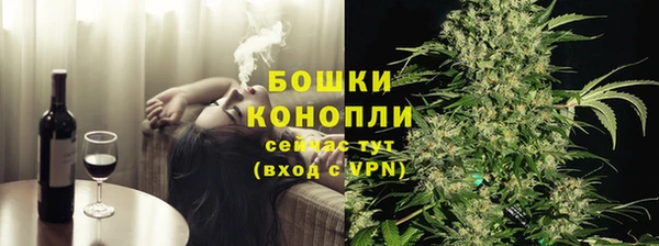 дурь Карпинск