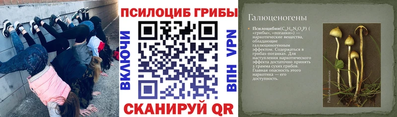 Купить где  Багратионовск  Галлюциногенные грибы прущие грибы 